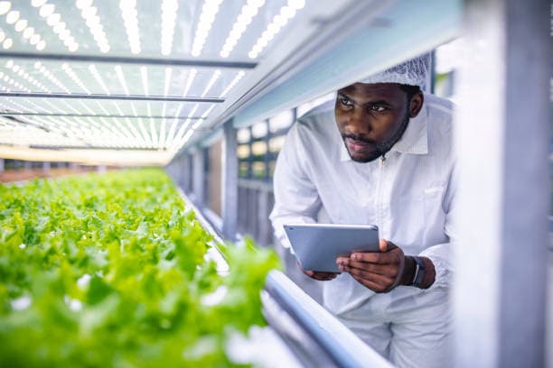 Why Choose Us - Sustainable Agriculture